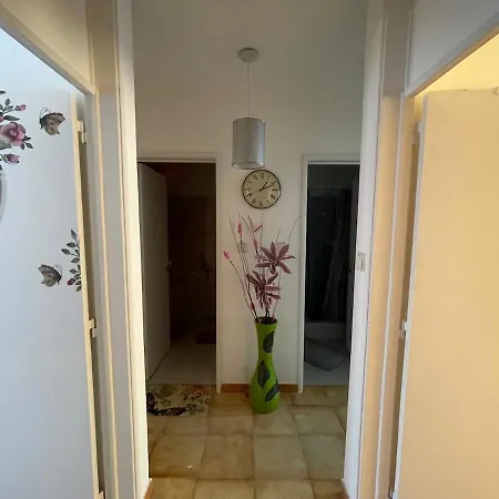 Traditional House